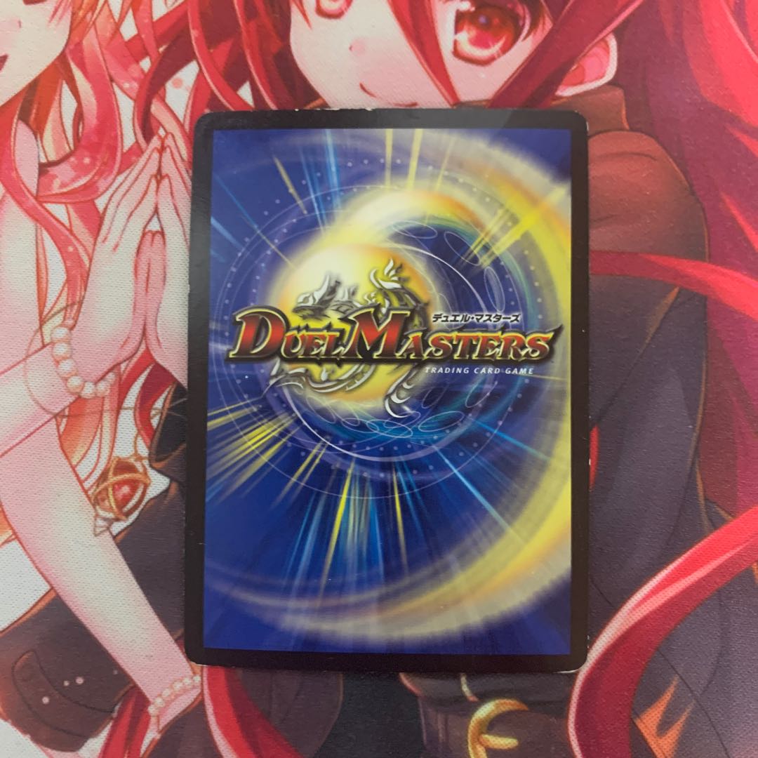 煌龍 サッヴァーク MDG