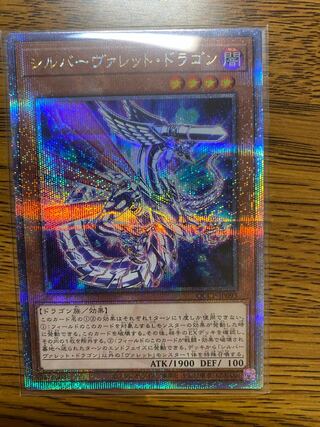 シルバーヴァレット・ドラゴン QCSE・25thシク QCCP-JP093