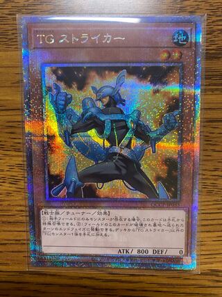 T.G. Striker QCSE, 25th Sikh QCCP-JP035