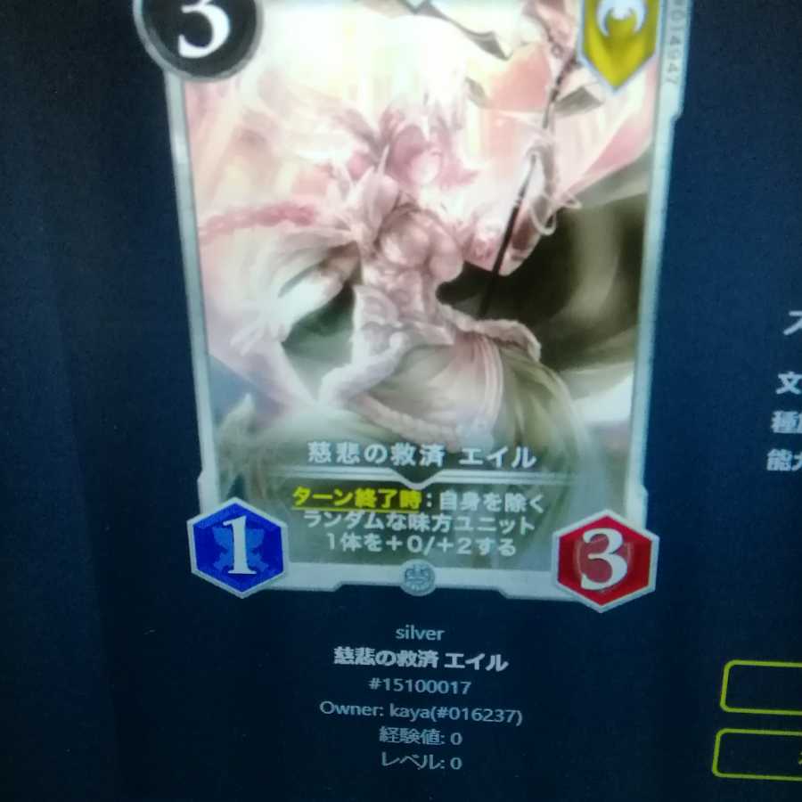 慈悲の救済　エイル