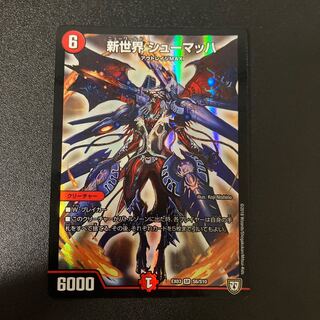 New World Schumacher SR S6/S10 1枚