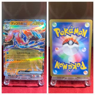 Pocketka [Greninjaex] RR