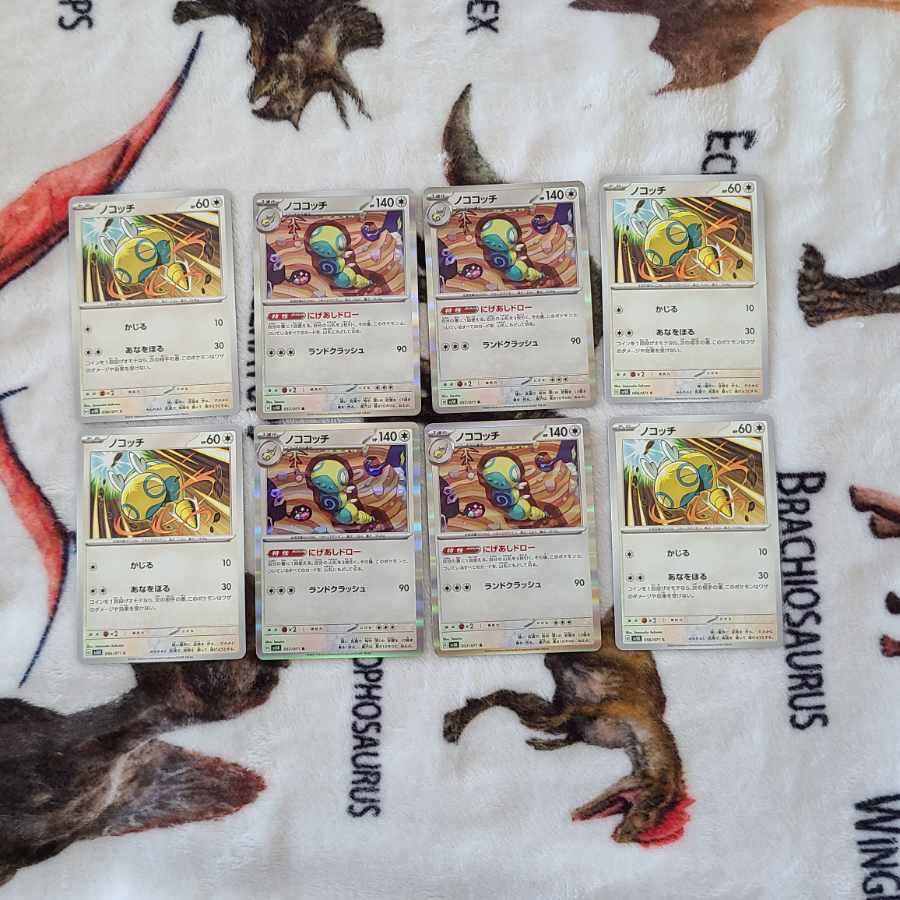 Nokococchi R 057/071