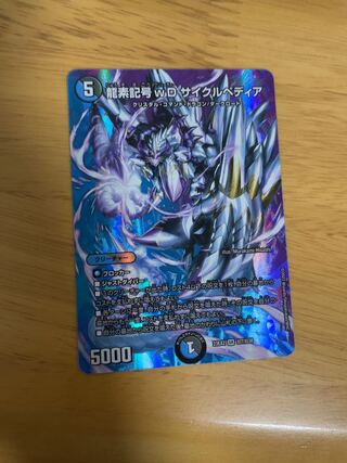 龍素記号wD サイクルペディア SR 14/84