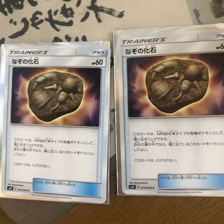 なぞの化石 2枚