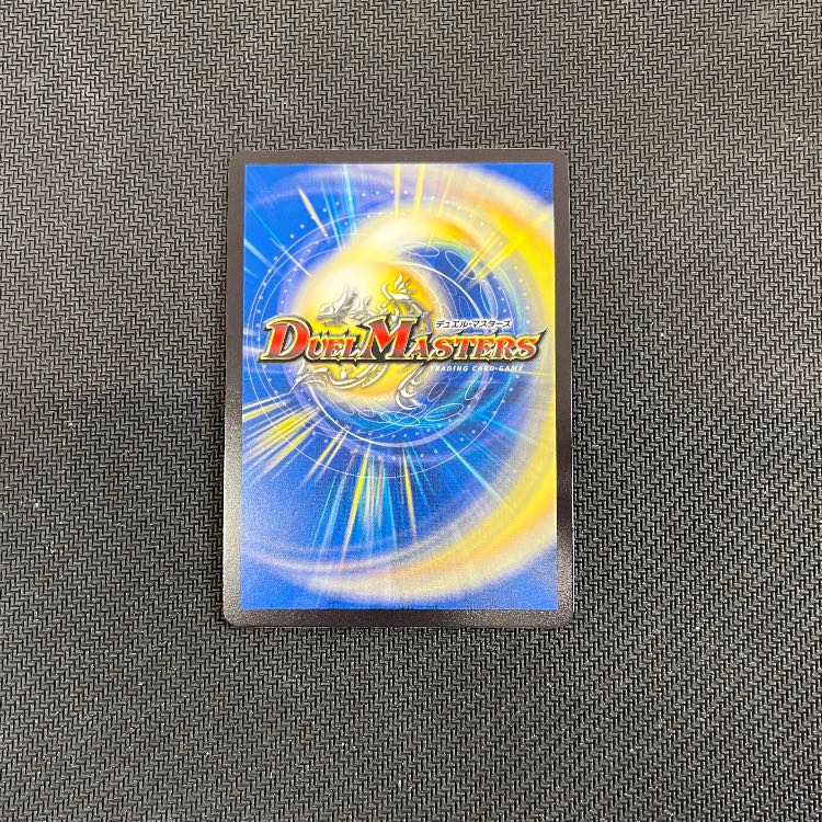 Cyber K. Wozrek｜The Wozrek Inquiry VR 46/138