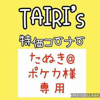 2/2 [Tanuki @ Pokeka's] Survive Gypsum Greninjaex