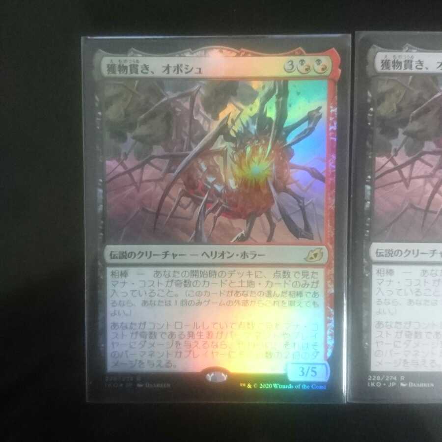 獲物貫き、オボシュ 2枚セット