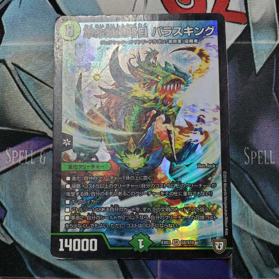 革命類侵略目 パラスキング