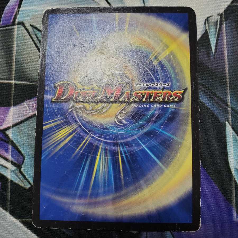 革命類侵略目 パラスキング