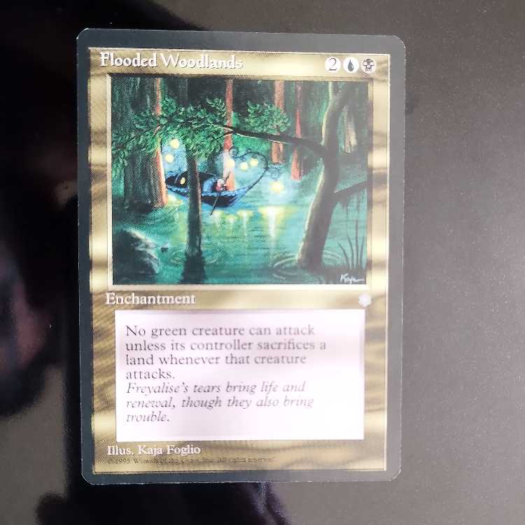 Flooded Woodlands 1枚