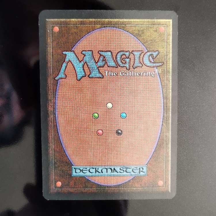 Flooded Woodlands 1枚