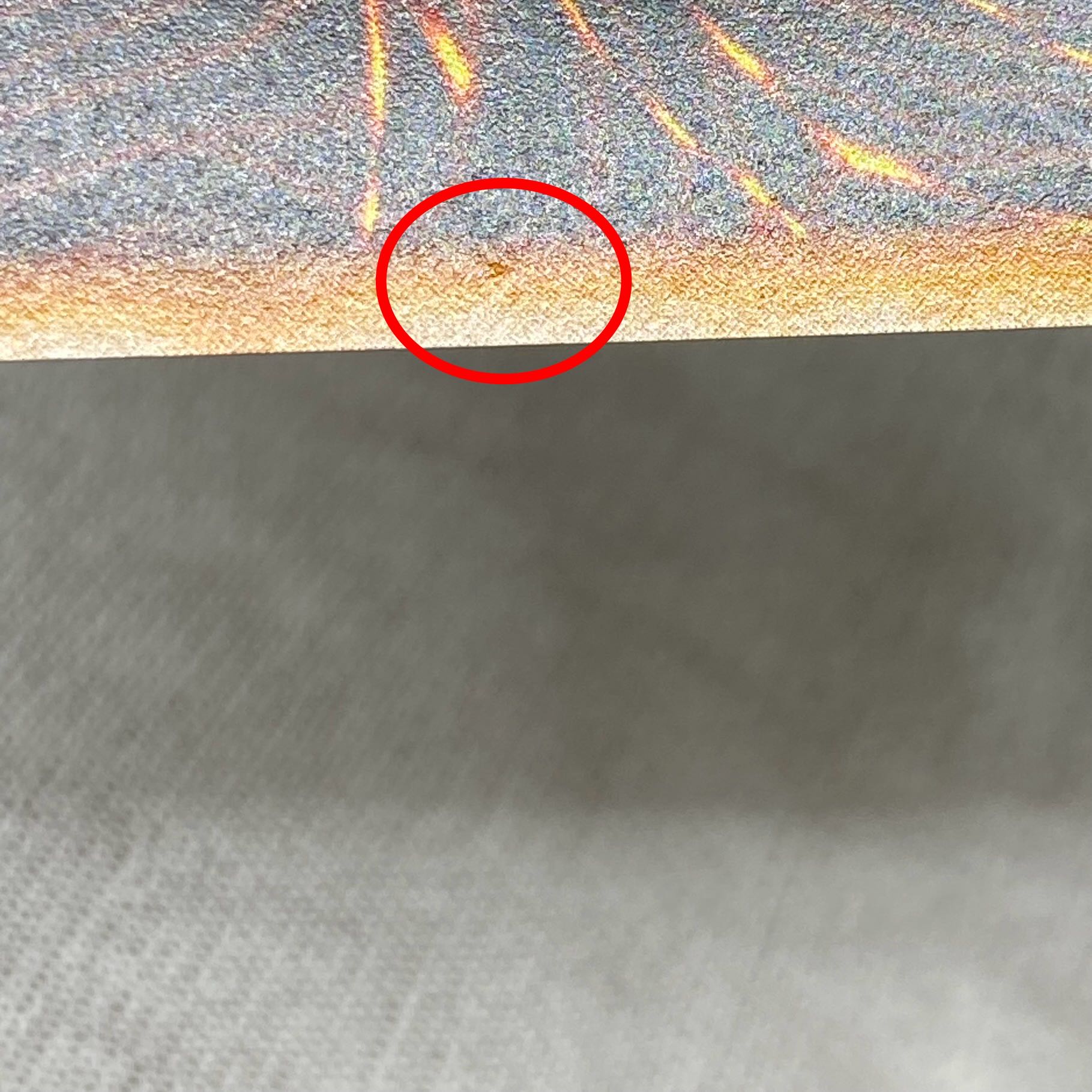 Blue・eyes・White・Dragon 青眼の白龍 英語表記 懸賞 初期 ウルトラレア