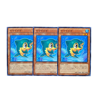 2559【遊戯王】イマイルカ　3枚セット