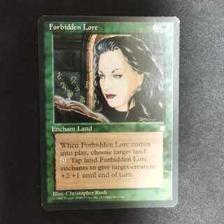 Forbidden Lore 1枚