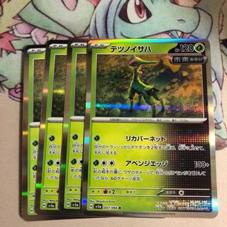 Tetsunoisaha R 007/066