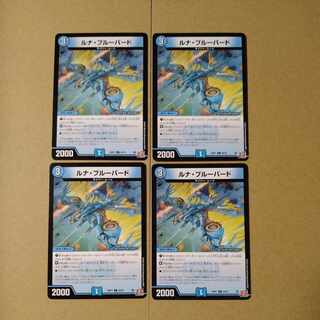 Luna Snubbull Bird C 60/75