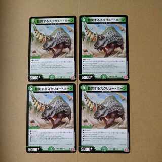 Whirling screw horns R 25/75