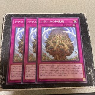 Naturia Sacred Tree Normal 3