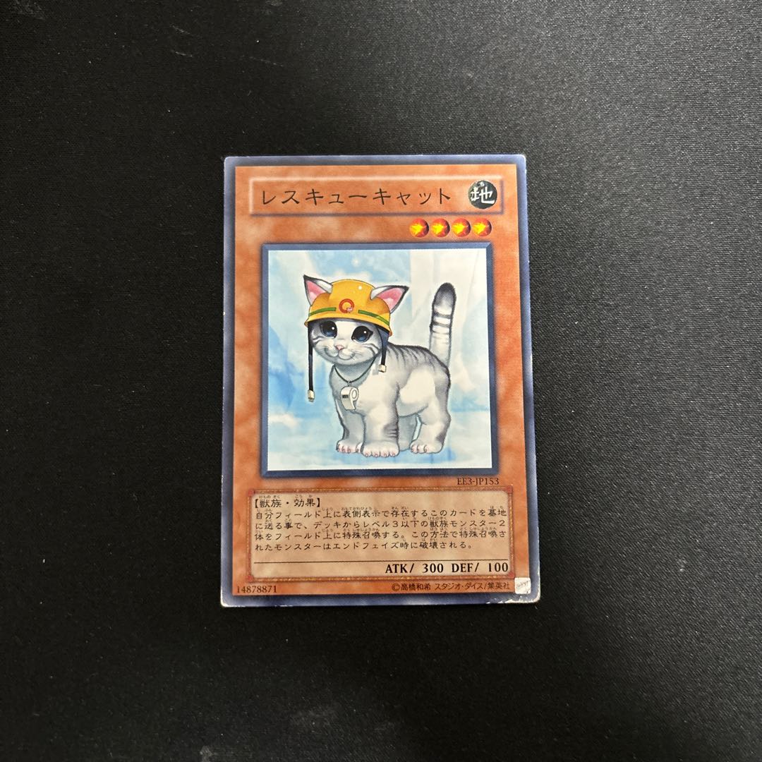 Rescue Cat Normal JP153