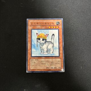 Rescue Cat Normal JP153