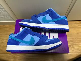Nike SB Dunk Low Pro Fruity Pack "Blue Raspberry" 27.5cm