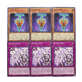 2604【遊戯王】聖種の影芽3枚/聖天樹の開花3枚　セット
