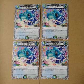 Coral Fairy Kiuri (Black Treasure) C T12/T12