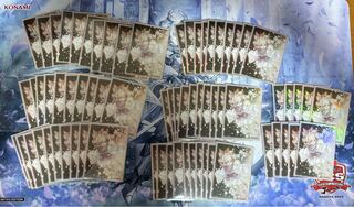 Ash Blossom & Joyous Spring Sleeve 70 sheets