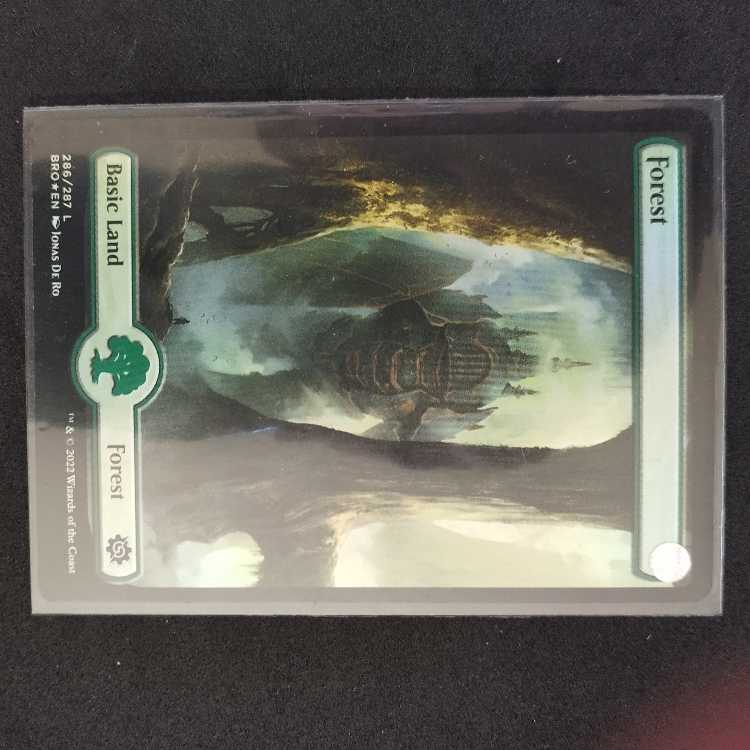 ★Forest land foil 1枚