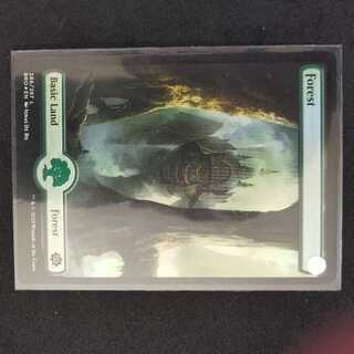 ★森　土地　foil