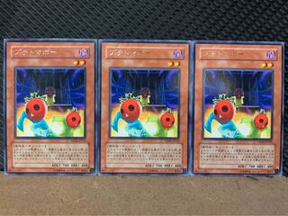 【ぽぽたん】遊戯王 4362 プチトマボー 3枚 レア