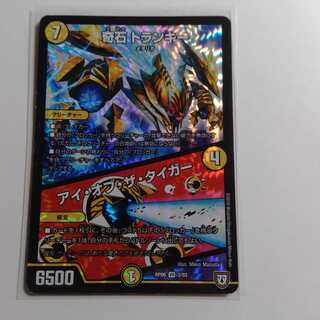 奇石　トランキー　アイオブザタイガー