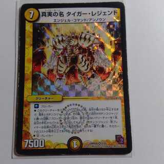 真実の名　タイガーレジェンド