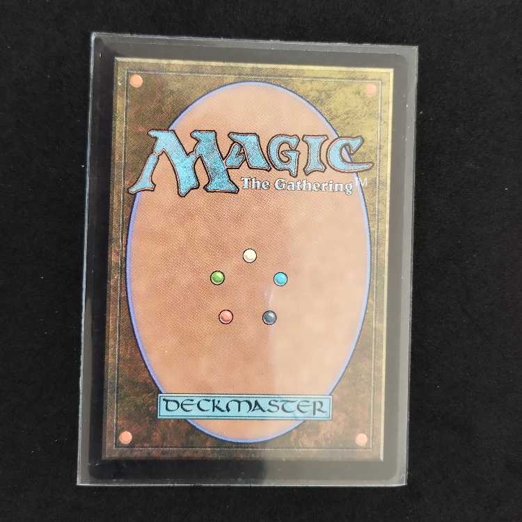 ★Swamp land foil 1枚