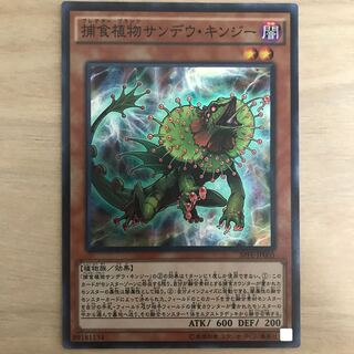 スーパー　捕食植物サンデウ・キンジー