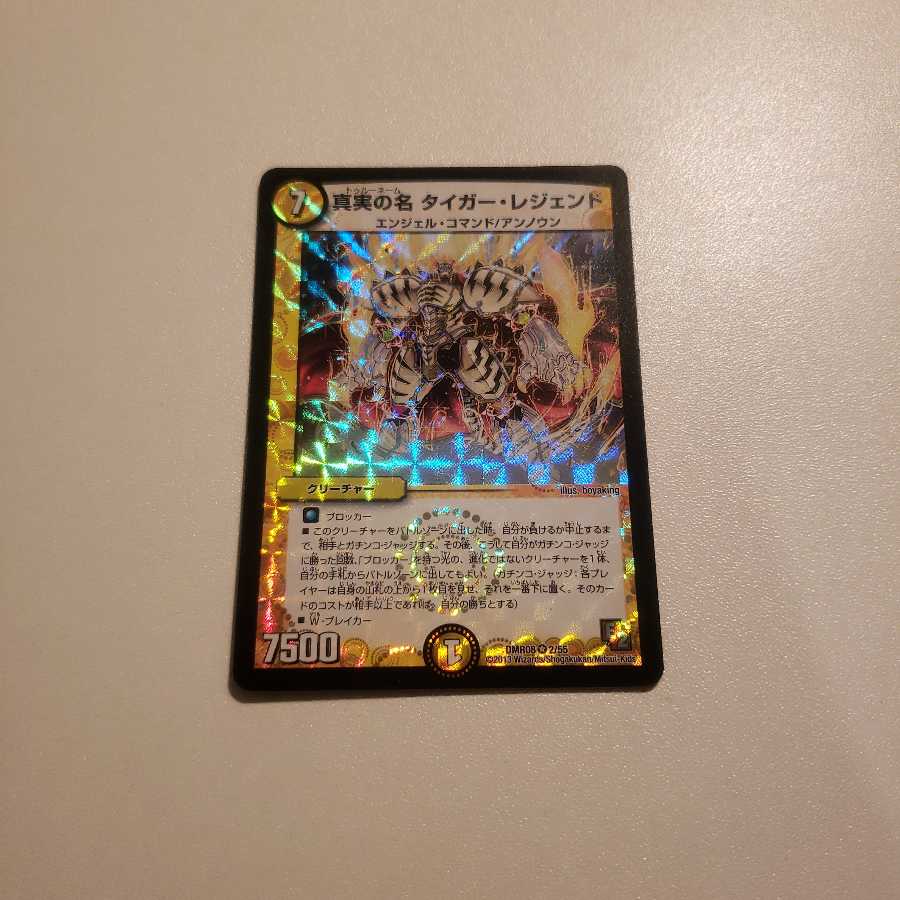 真実の名 タイガー・レジェンド VR