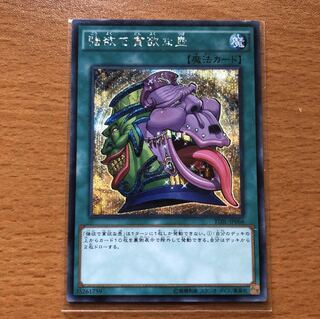 強欲で貪欲な壺 SE TDILシク