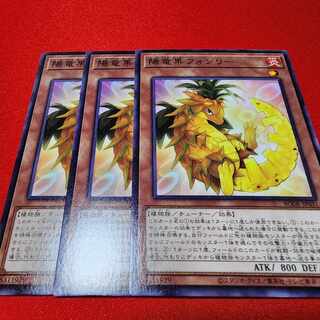 陽竜果フォンリー ノーマル JP031