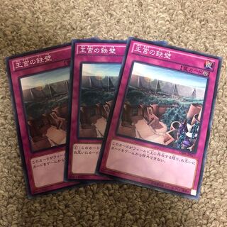 Imperial Iron Wall Normal JP030