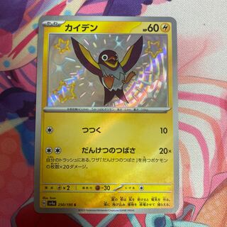 Kaiden S 250/190 1枚