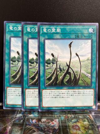 Yu-Gi-Oh Studio 10168 Dragon Shrine Normal JP010