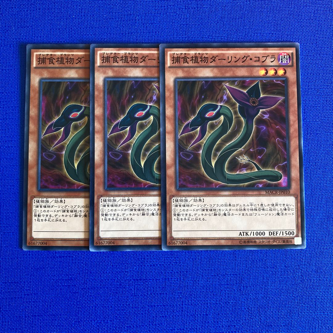 Predaplant Darlingtonia Cobra Normal JP010