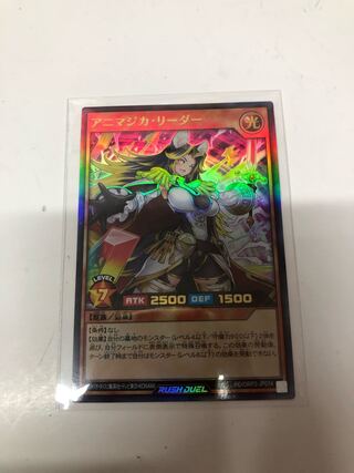 アニマジカリーダー