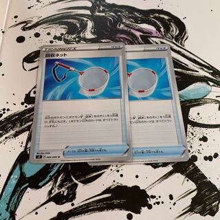 回収ネット 2枚