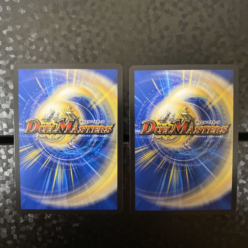 ライマードルイド 蒼刀の輝将