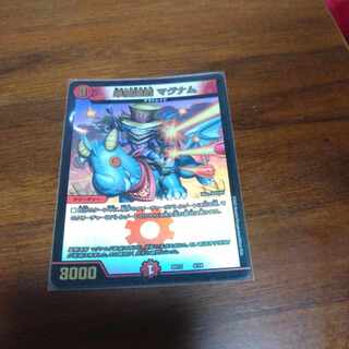 Single shot magnum 9/18