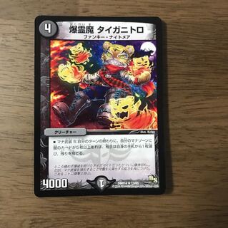 タイガニトロ 1枚