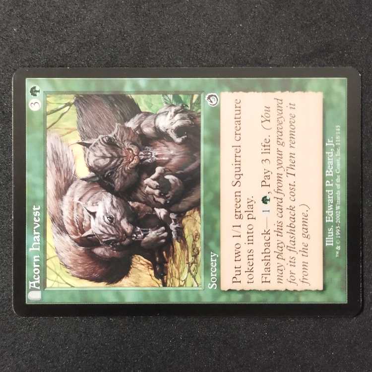 ★Acorn Harvest 1枚