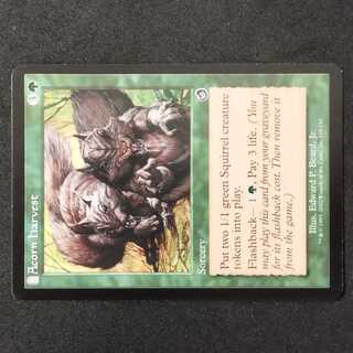 ★Acorn Harvest 1枚